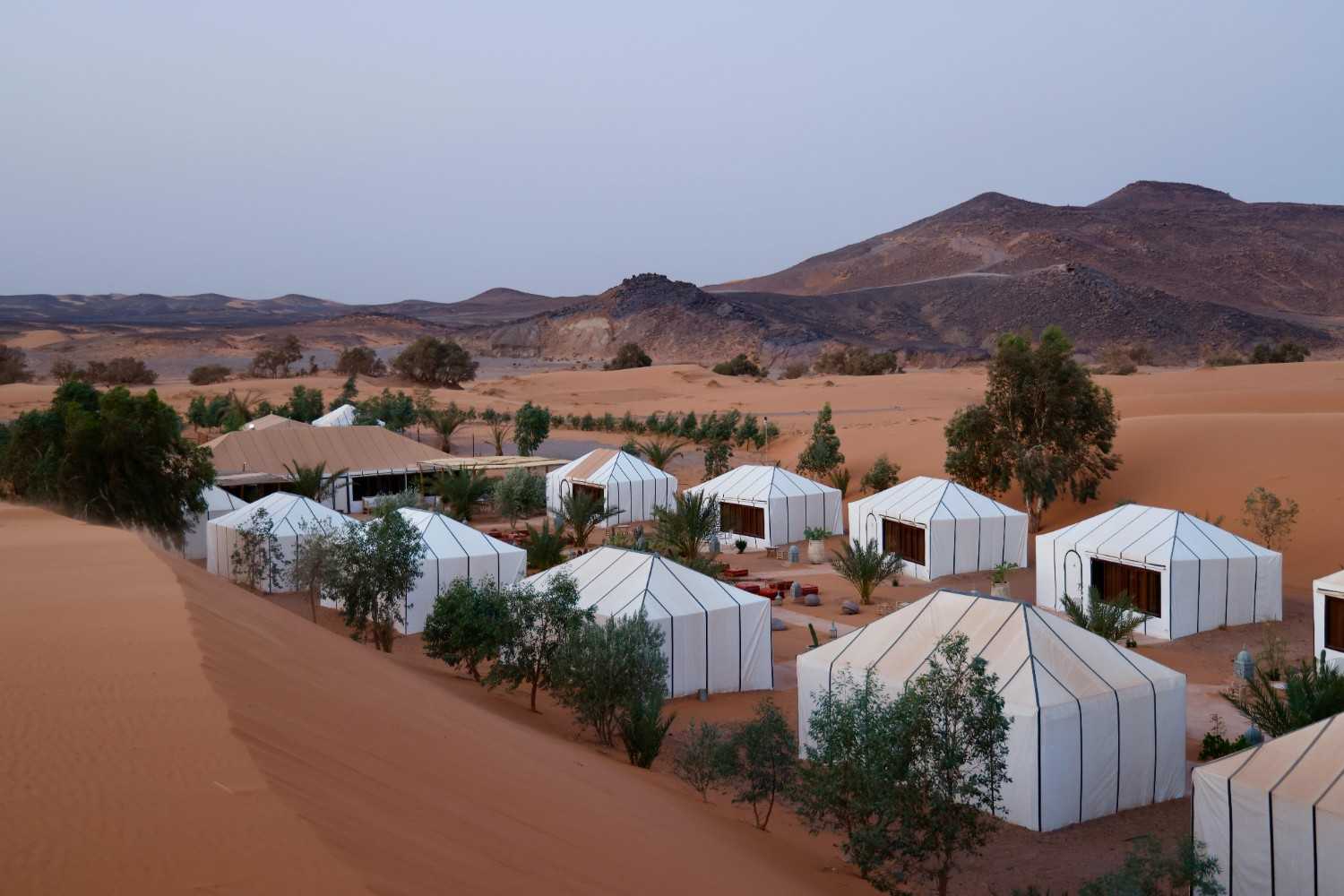 Desert Majesty: Luxury Sahara Experience