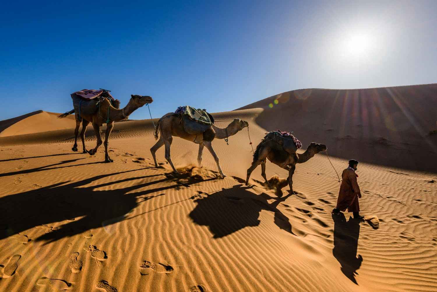 From Fes to Marrakech: 3-Day Sahara Desert Discovery Tour