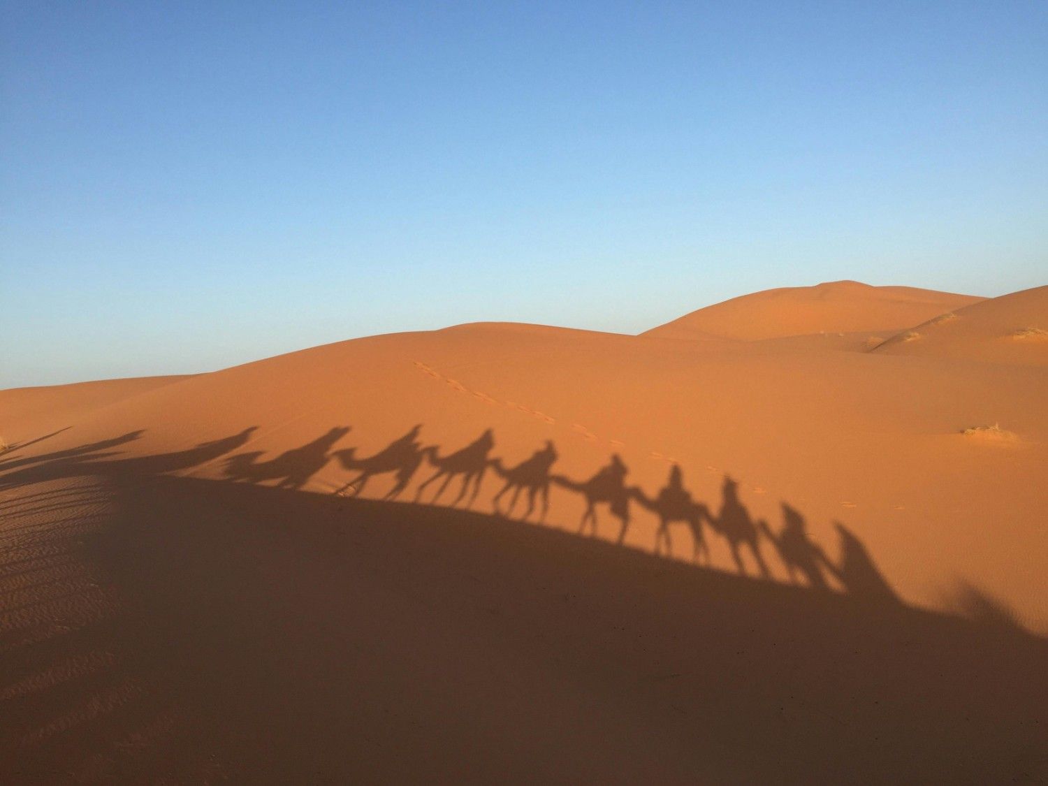 Golden Sands and Imperial Wonders