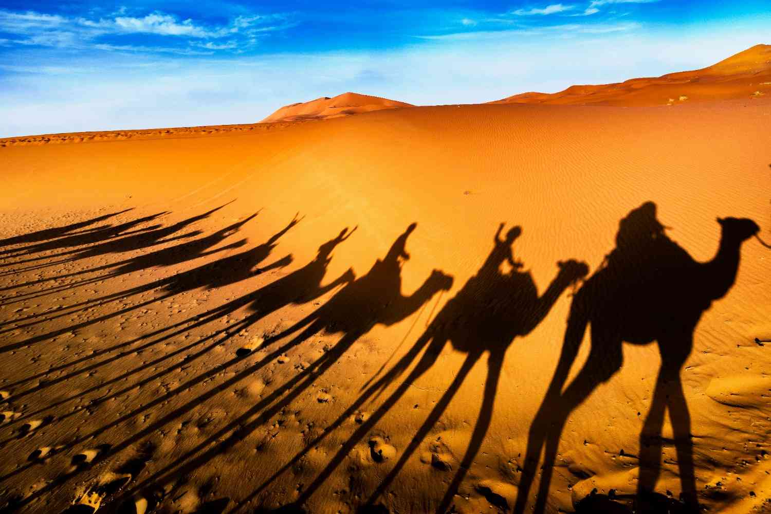 Soul of the Sahara: A Desert Adventure in 3 Days